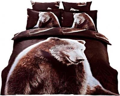 Комплект постельного белья Arya Сатин Печатное Cool Bear / PB200X220CB (200x220)