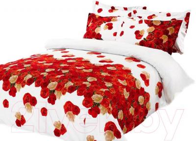 Комплект постельного белья Arya Сатин Печатное Rose Mary / PB160X220PM (160x220)