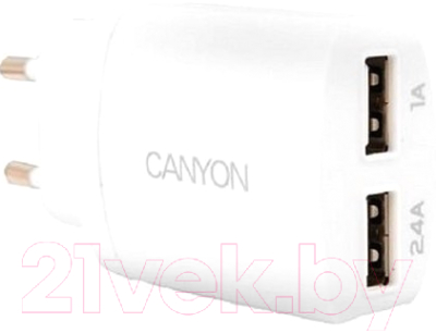 Зарядное устройство сетевое Canyon CNE-CHA22W