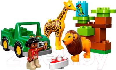Конструктор Lego Duplo Вокруг света: Африка (10802)