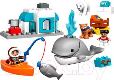 Конструктор Lego Duplo Вокруг света: Арктика (10803)