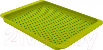 Поднос Joseph Joseph Grip Tray 70081 (зеленый)