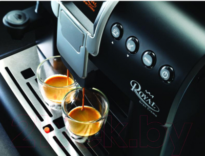 Кофемашина Philips Royal Gran Crema 9845/01 - вид спереди 