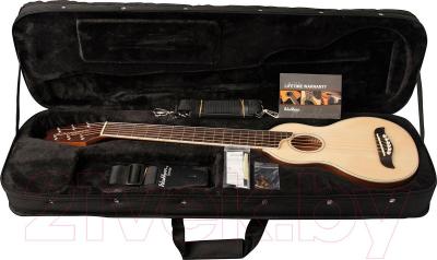 Акустическая гитара Washburn RO10 Rover