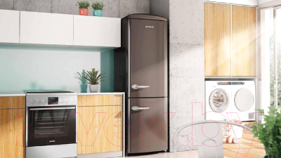 Холодильник с морозильником Gorenje RK60359OCH