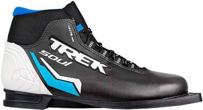 Ботинки для беговых лыж TREK Soul ИК NN75 (черный, размер 38) - общий вид
