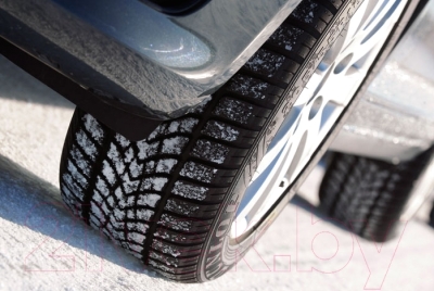 Зимняя шина Dunlop SP Winter Sport 4D 195/65R16 92H