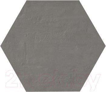 Плитка Imola Ceramica LeTerre 6DG (260x300)