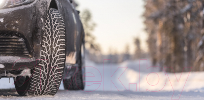 Зимняя шина Nokian Tyres WR D4 205/55R16 91T