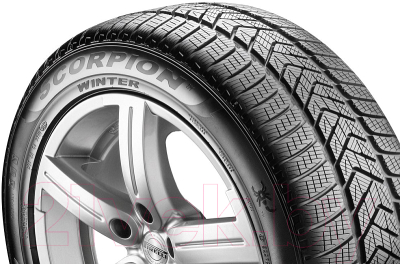 Зимняя шина Pirelli Scorpion Winter 255/50R19 107V