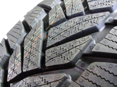 Зимняя шина Dunlop Grandtrek WT M3 SP 255/50R19 107V
