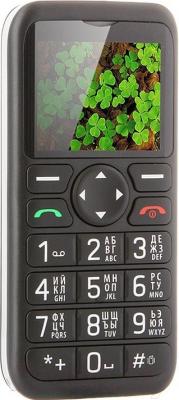 Мобильный телефон DEXP Larus S5 (черный)