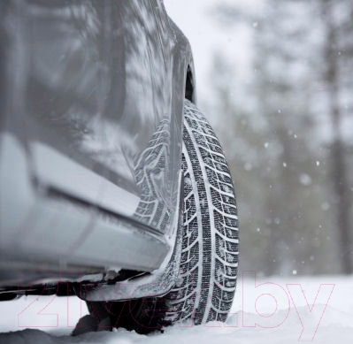 Зимняя шина Toyo Snowprox S943 185/65R14 86T