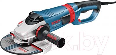 Профессиональная угловая шлифмашина Bosch GWS 24-230 LVI Professional (0.601.893.F04)