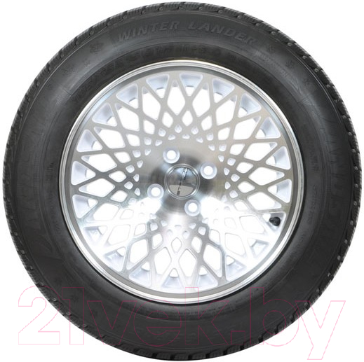 Зимняя шина Landsail Winter Lander 195/65R15 91H