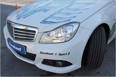 Летняя шина Cordiant Sport 3 205/55R16 91V