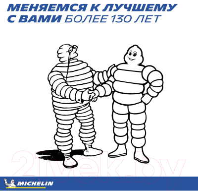 Летняя шина Michelin Latitude Sport 3 275/45R21 107Y Mercedes