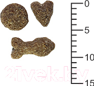 Сухой корм для кошек ТерраКот С норвежским лососем TRK010 (10кг)
