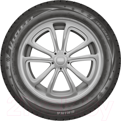 Зимняя шина Viatti Brina V-521 205/55R16 91T
