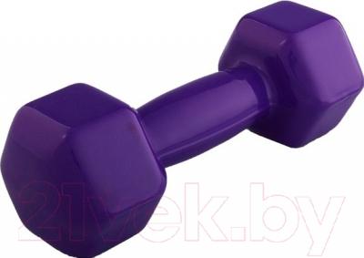Гантель ZEZ Sport 3kg (фиолетовый)