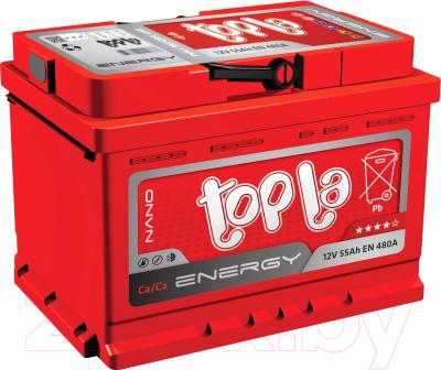 Автомобильный аккумулятор Topla Energy 108066 (66 А/ч)