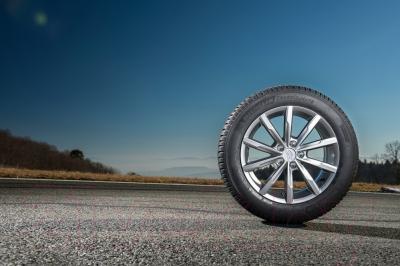 Летняя шина Michelin CrossClimate 205/55R16 94V