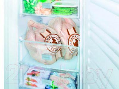 Холодильник с морозильником Liebherr CNPesf 4003