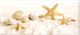 Декоративная плитка PiezaRosa Морская звезда 336761 (200x450) - 