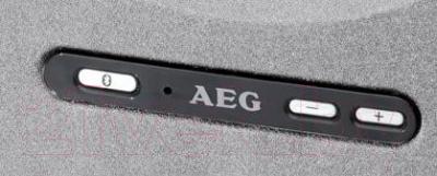 Портативная колонка AEG BSS 4801 (черно-серый)
