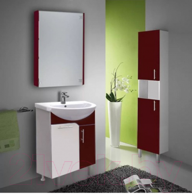 Комплект сменных элементов для мебели в ванную Triton для зеркала-шкафа Эко 50 / 005.42.0500.121.01.06.U.М2 (вишневый)