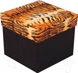 Коробка для хранения Romika RM-0002/NG