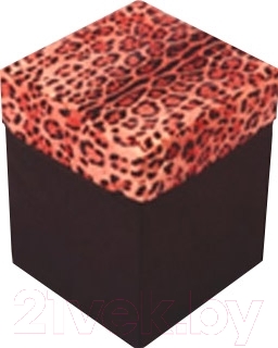 Коробка для хранения Romika RM-0003/NG