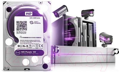 Жесткий диск Western Digital Purple NV 6TB (WD6NPURX)