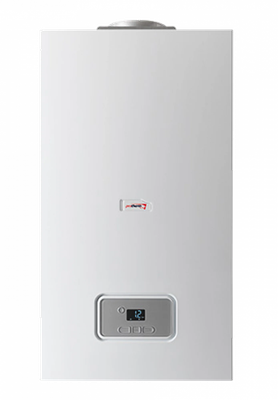 Газовый котел Protherm Гепард 23 MTV -