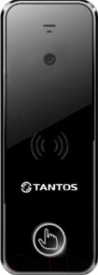 Вызывная панель Tantos iPanel 1 (черный, камера 800)