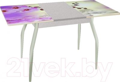 Обеденный стол Древпром Алиот 90x60 (металл/орхидея на воде/металл) - в разложенном виде