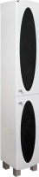 Шкаф-пенал для ванной Гамма 50.03 ОФ4в (черные вставки, правый) - 