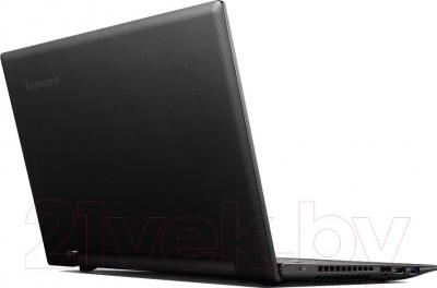 Ноутбук Lenovo IdeaPad S2030 (59442024)