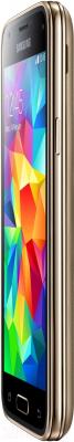 Смартфон Samsung Galaxy S5 mini / G800F (золото)