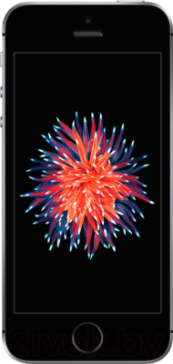 Изображение товара Смартфон Apple iPhone SE 16GB / MLLN2 (серый космос)