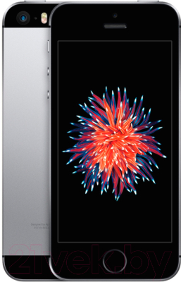 Изображение товара Смартфон Apple iPhone SE 16GB / MLLN2 (серый космос)