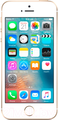 Смартфон Apple iPhone SE 16GB / MLXM2 (золото)