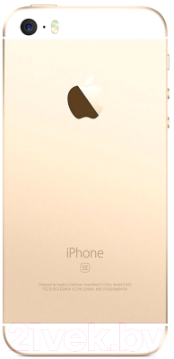 Смартфон Apple iPhone SE 16GB / MLXM2 (золото)