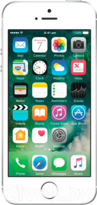 Смартфон Apple iPhone SE 64Gb / MLM72 (серебристый)