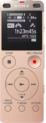 Цифровой диктофон Sony ICD-UX560 (4Gb, золотой)