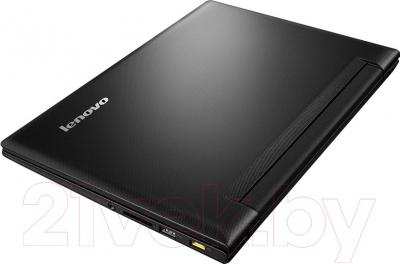 Ноутбук Lenovo IdeaPad S2030 (59442025)