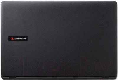 Ноутбук Packard Bell EasyNote TG81BA-C04G (NX.C3YER.006)