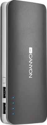 Портативное зарядное устройство Canyon CNE-CPB130DG