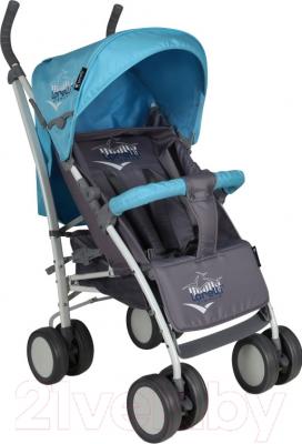 Детская прогулочная коляска Lorelli S100 (Blue-Gray)