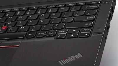 Ноутбук Lenovo ThinkPad X260 (20F5S1MG00)